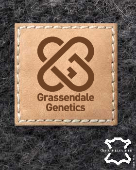 24 Leren labels | Leren labels met logo | Gepersonaliseerde leren labels
